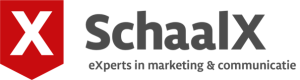 logo: SchaalX